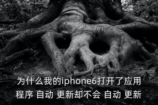 蘋果開啟自動更新不了,蘋果手機(jī)助手軟件更新失敗怎么辦?