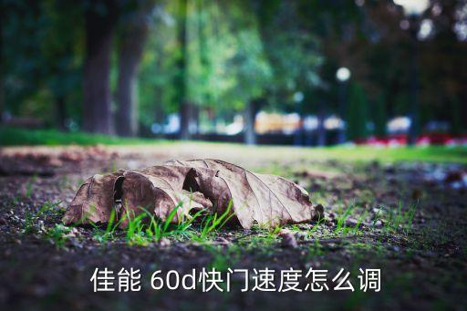佳能60d全自動模式,回顧（20）（四）