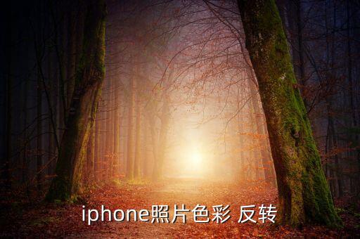 ios11反轉(zhuǎn)顏色 自動(dòng),iphone12怎么關(guān)機(jī)?