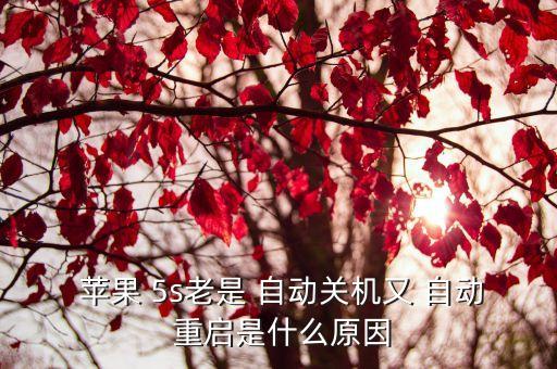 蘋(píng)果5s自動(dòng)重啟怎么回事,系統(tǒng)崩潰時(shí)顯示藍(lán)屏?怎么辦?