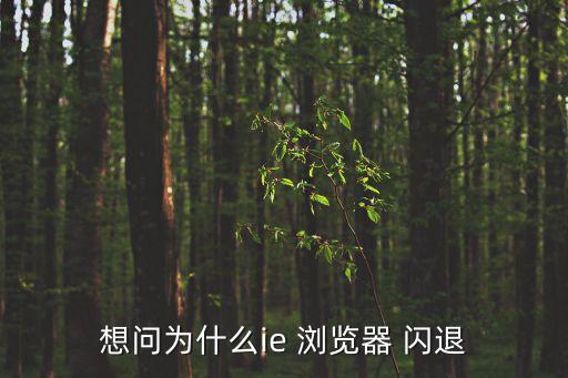 想問為什么ie 瀏覽器 閃退
