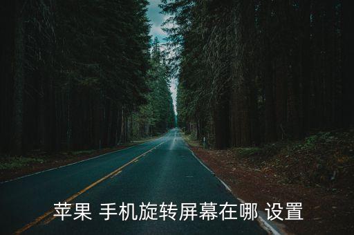 蘋果 手機(jī)旋轉(zhuǎn)屏幕在哪 設(shè)置