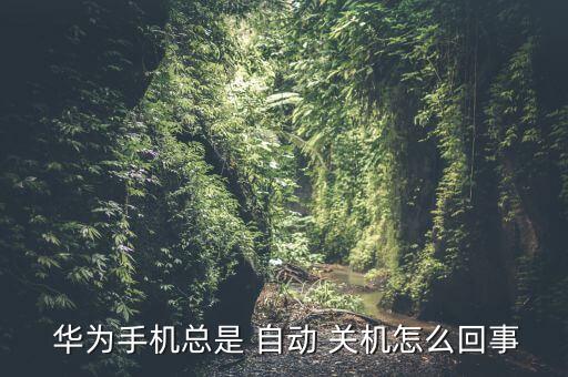華為自動關(guān)機(jī)設(shè)置,手機(jī)過熱也會自動關(guān)機(jī)!