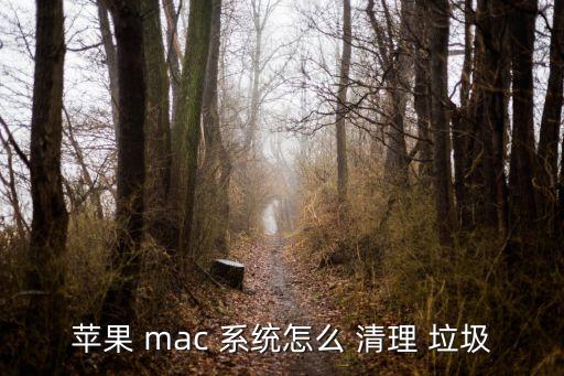 蘋果 mac 系統(tǒng)怎么 清理 垃圾