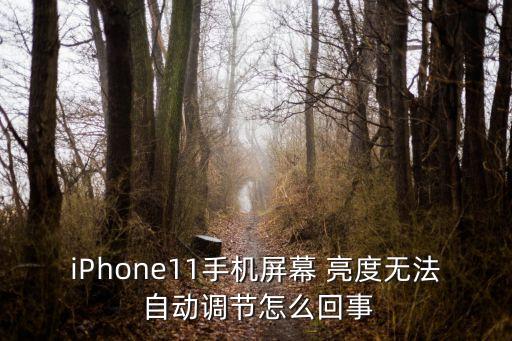 iPhone11手機(jī)屏幕 亮度無法 自動(dòng)調(diào)節(jié)怎么回事