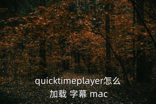 mac自動加載字幕,vlc播放器可以插字幕嗎?