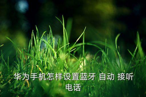  華為手機(jī)怎樣設(shè)置藍(lán)牙 自動(dòng) 接聽電話