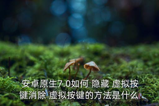  安卓原生7.0如何 隱藏 虛擬按鍵消除 虛擬按鍵的方法是什么