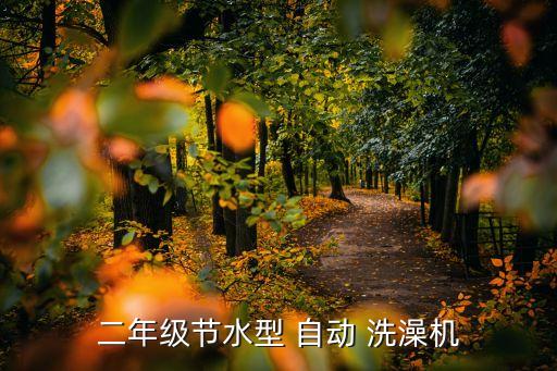二年級(jí)節(jié)水型 自動(dòng) 洗澡機(jī)