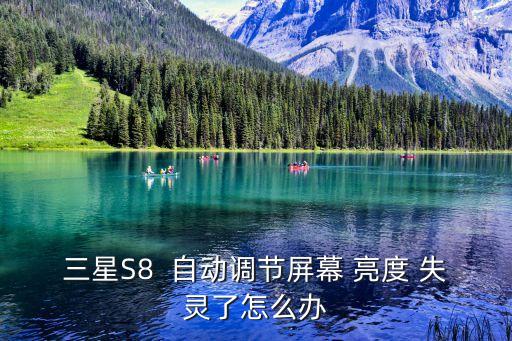 三星S8  自動調(diào)節(jié)屏幕 亮度 失靈了怎么辦