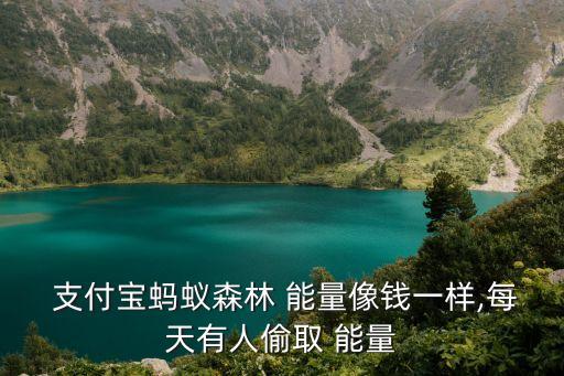 支付寶自動(dòng)偷能量蘋(píng)果,螞蟻森林能量保護(hù)套保護(hù)你的愛(ài)好
