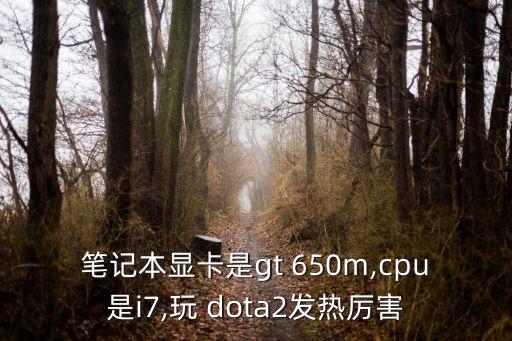 筆記本顯卡是gt 650m,cpu是i7,玩 dota2發(fā)熱厲害