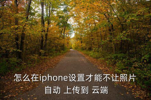 怎么在iphone設(shè)置才能不讓照片 自動(dòng) 上傳到 云端