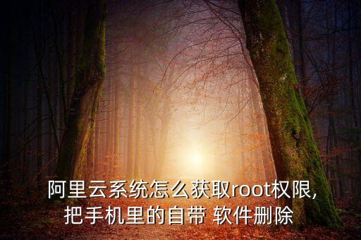 阿里云自動(dòng)刪軟件,如何安裝超級(jí)用戶軟件?