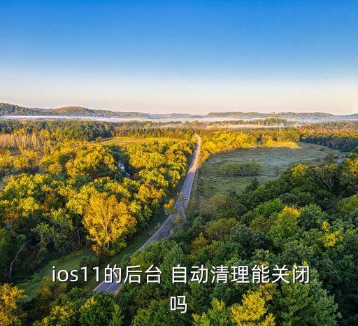 ios界面自動釋放,怎么用ios11刷卡?