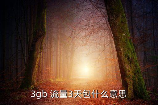 3G自動檔流量包,這些流量怎么用?