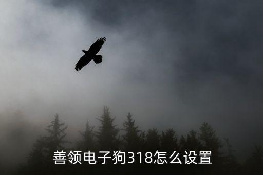  善領(lǐng)電子狗318怎么設(shè)置
