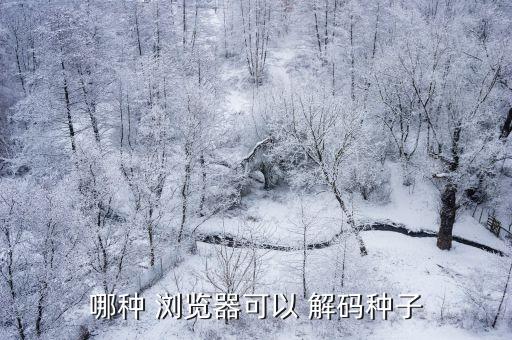 瀏覽器自動解碼,網(wǎng)絡(luò)出現(xiàn)病例如何安全使用?
