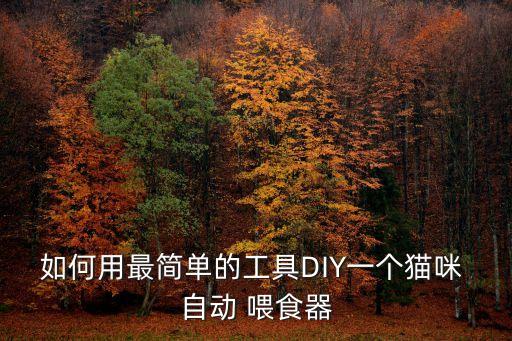 如何用最簡(jiǎn)單的工具DIY一個(gè)貓咪 自動(dòng) 喂食器