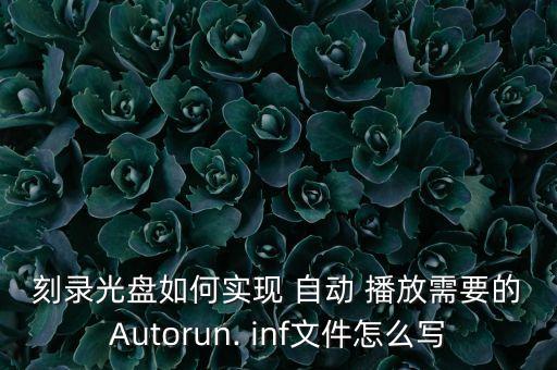 autorun.inf u盤自動播放視頻