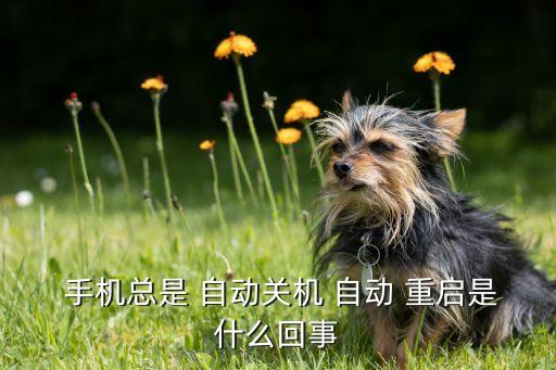 手機快沒電就自動重啟,手機出現(xiàn)病例怎么辦?
