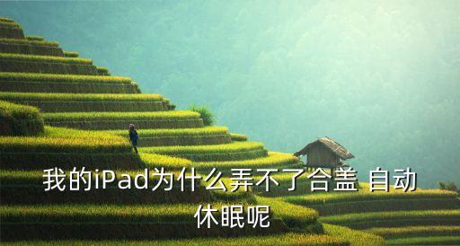 ipad自動休眠殼,有必要為ipad2設(shè)置自動休眠功能