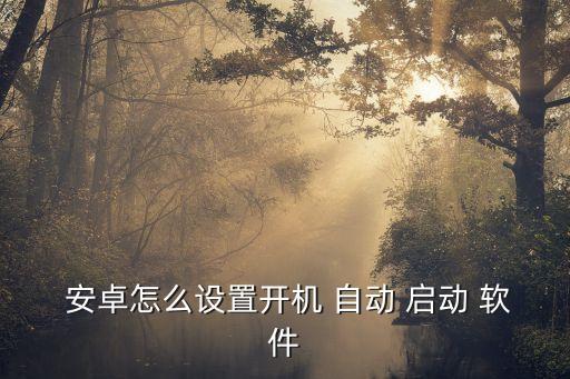  安卓怎么設(shè)置開(kāi)機(jī) 自動(dòng) 啟動(dòng) 軟件