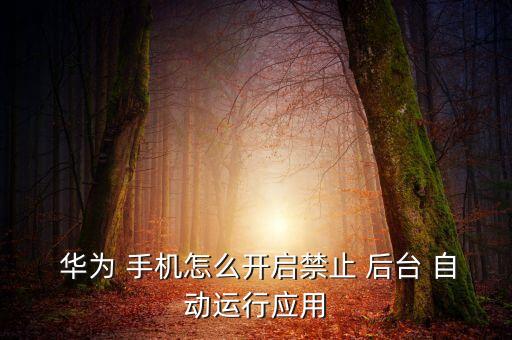  華為 手機(jī)怎么開(kāi)啟禁止 后臺(tái) 自動(dòng)運(yùn)行應(yīng)用