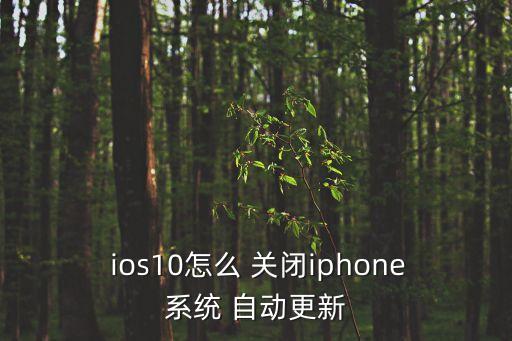  ios10怎么 關(guān)閉iphone系統(tǒng) 自動(dòng)更新