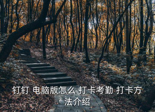 釘釘 電腦 自動(dòng)打卡,用電腦定位打卡釘釘需注意什么?