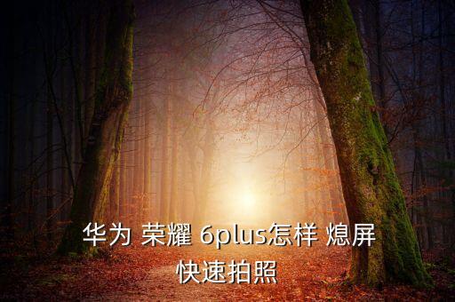 華為榮耀6plus自動(dòng)熄屏,手機(jī)黑屏如何熄屏snap?