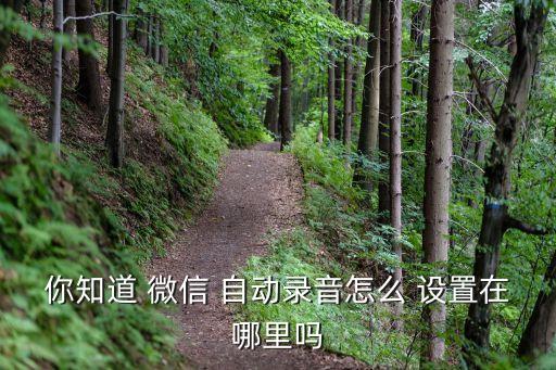 微信自動發(fā)音怎么設(shè)置,微信自動恢復(fù)設(shè)置完成后如何進行?
