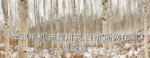 蘋果手機(jī) 流量用完 自動 斷網(wǎng)在哪里設(shè)置