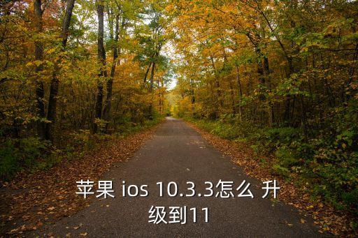 蘋果 ios 10.3.3怎么 升級(jí)到11