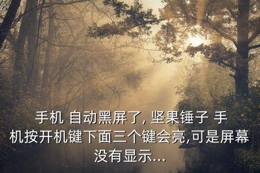  手機 自動黑屏了, 堅果錘子 手機按開機鍵下面三個鍵會亮,可是屏幕沒有顯示...