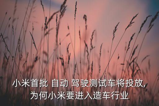 現(xiàn)在做自動駕駛汽車的公司