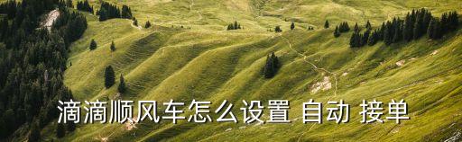 滴滴都是自動接單嗎,滴滴失主怎么接單?