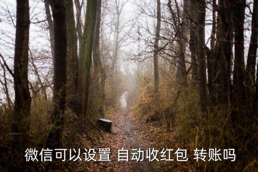 微信錢包能自動轉(zhuǎn)賬嗎,微信紅包可自動領(lǐng)取方法:點擊瀏覽