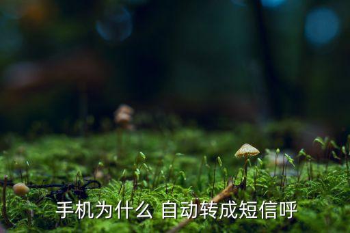  手機(jī)為什么 自動(dòng)轉(zhuǎn)成短信呼