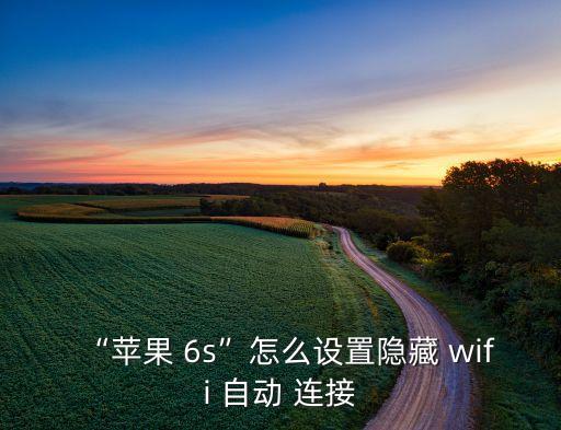 “蘋果 6s”怎么設(shè)置隱藏 wifi 自動 連接