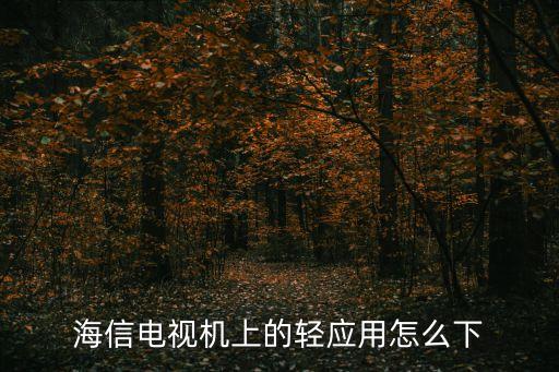 輕應(yīng)用自動(dòng)安裝,電視如何安裝多樂應(yīng)用市場