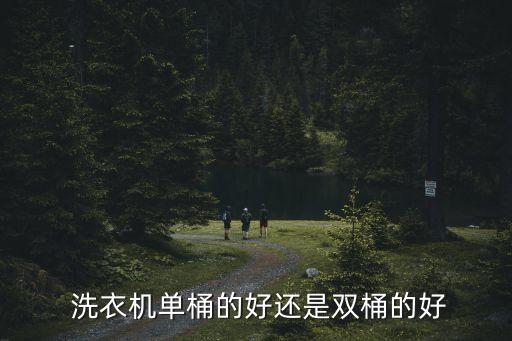 全自動(dòng)洗衣機(jī)兩個(gè)桶的,全自動(dòng)洗衣機(jī)易用性更好兼顧節(jié)能與安全