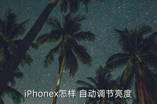 iPhonex怎樣 自動調(diào)節(jié)亮度