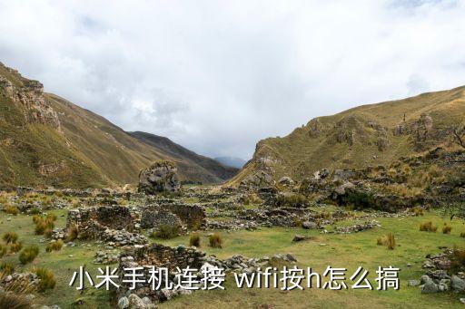  小米手機(jī)連接 wifi按h怎么搞