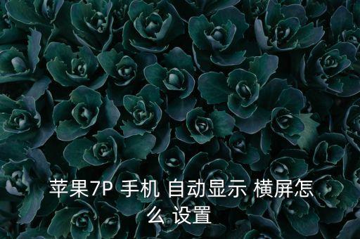蘋果手機設置自動橫屏,點擊菜單欄自動旋轉再次點擊關閉手機