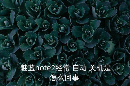 魅藍(lán)有時(shí)候會(huì)自動(dòng)關(guān)機(jī),關(guān)閉手機(jī)網(wǎng)絡(luò)充電一晚免費(fèi)維修