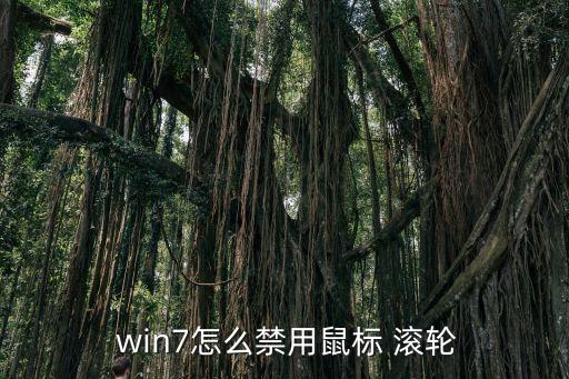  win7怎么禁用鼠標(biāo) 滾輪