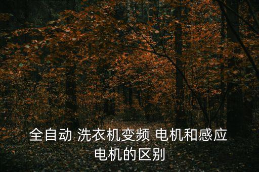 全自動(dòng)洗衣機(jī)電機(jī),全自動(dòng)洗衣機(jī)如何安全使用?