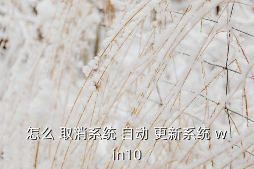 怎么 取消系統(tǒng) 自動(dòng) 更新系統(tǒng) win10