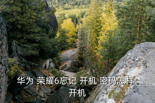 華為 榮耀6忘記 開機 密碼怎樣 開機